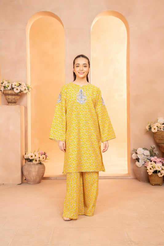 Diamond - 2 piece - Embroidered Suit