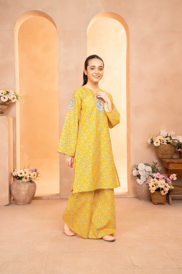 Diamond - 2 piece - Embroidered Suit