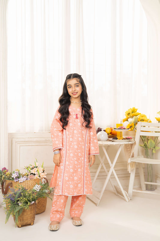 Peach - 2 piece - Embroidered Suit