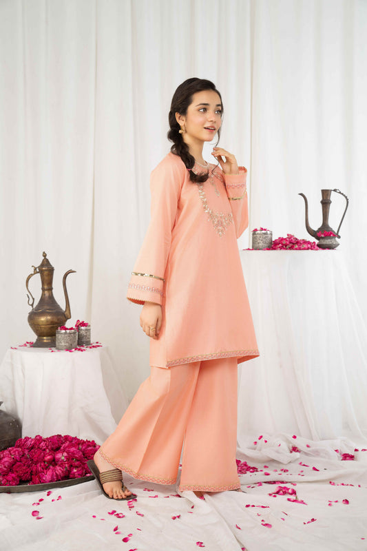 Peachy Glow- 2 piece - Embroidered Suit
