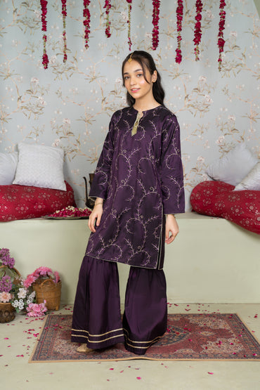 Purple - 2 piece - Embroidered Party Wear Suit