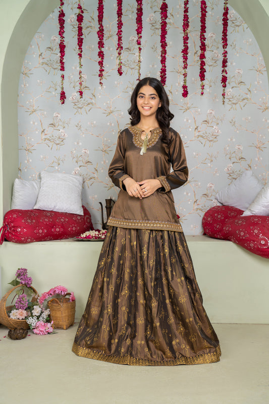 Bronze - 2 piece - Embroidered Party Wear