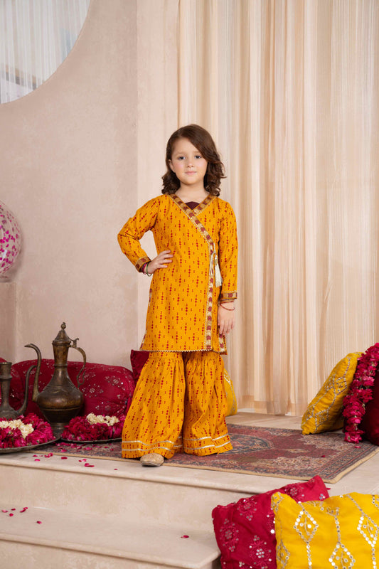 Star - 2 piece - Printed Embroidered Suit