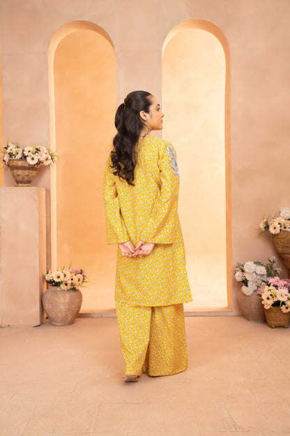 Diamond - 2 piece - Embroidered Suit