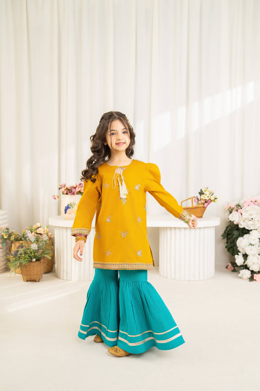 Darya - 2 piece - Embroidered Suit