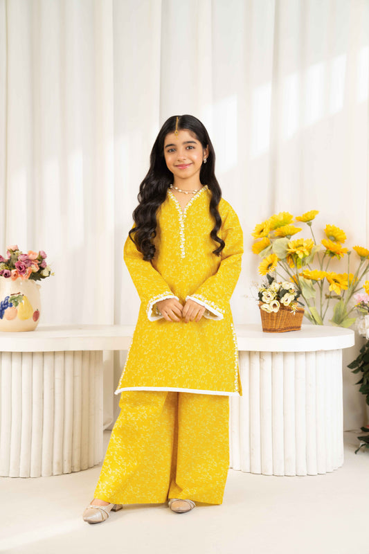 Airy - 2 piece - Embroidered Suit