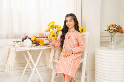 Peach - 2 piece - Embroidered Suit