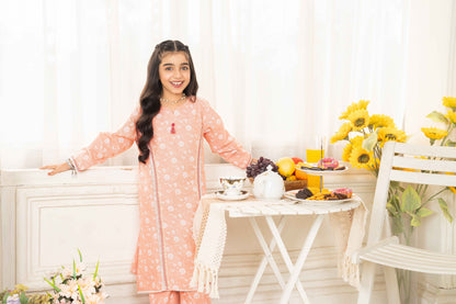 Peach - 2 piece - Embroidered Suit