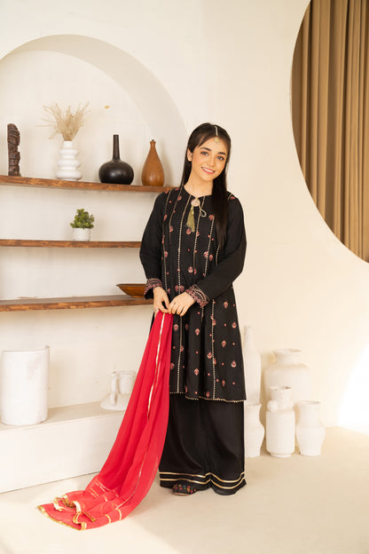 Tara - 3 piece - Embroidered Suit