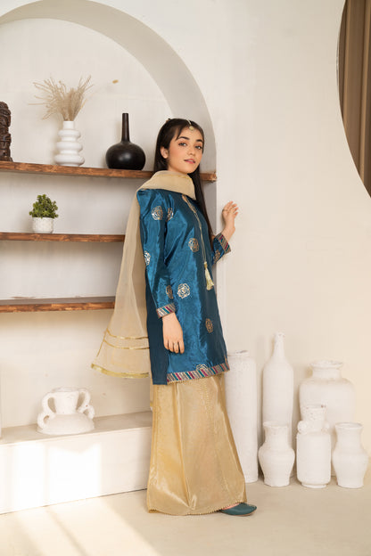 Zahra - 3 piece - Embroidered Sharara Set
