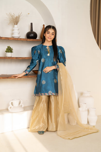 Zahra - 3 piece - Embroidered Sharara Set