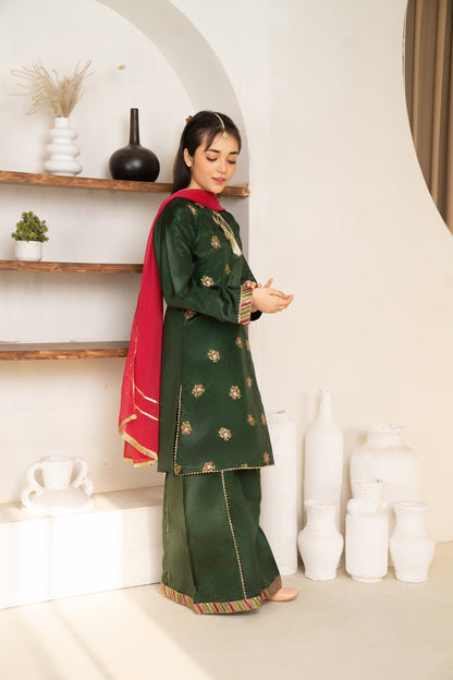Mayon - 3 piece - Embroidered Suit