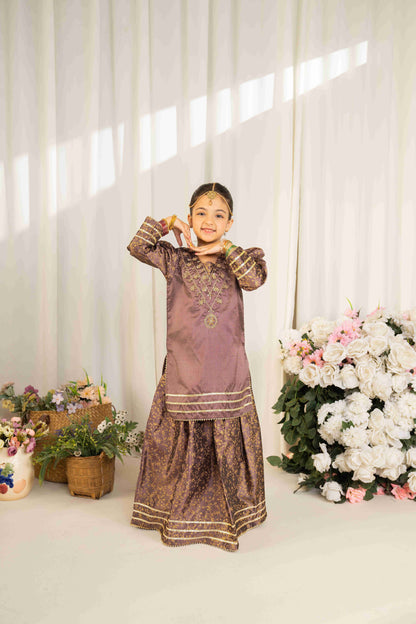 Doll - 2 piece - Embroidered Lehnga Set