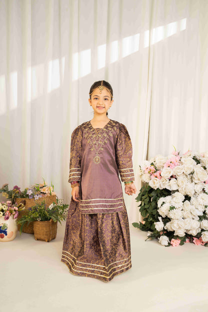 Doll - 2 piece - Embroidered Lehnga Set