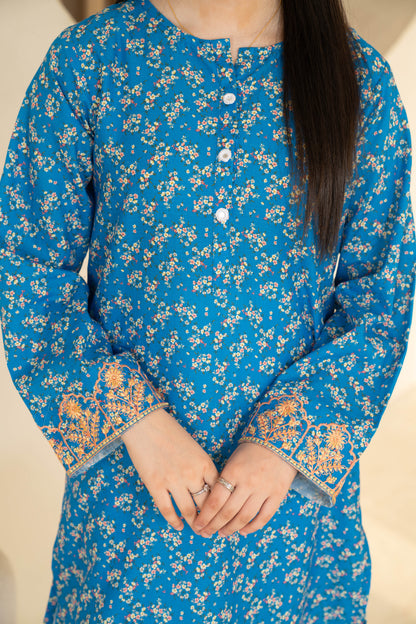 Vera - 1 piece - Embroidered Top/Kurta