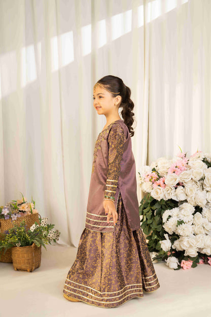 Doll - 2 piece - Embroidered Lehnga Set