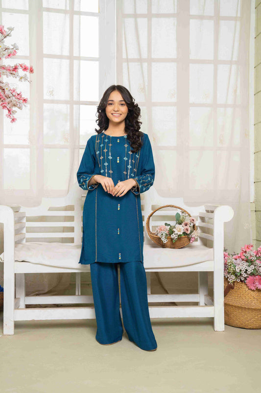 Fiza - 2 piece - Embroidered Suit