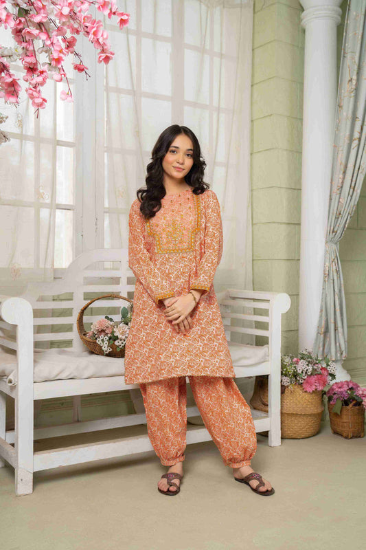 Sooraj - 2 Piece - Printed Embroidered Suit