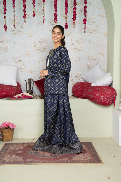 Nilofer - 2 piece - Fully Hand Worked Party Wear