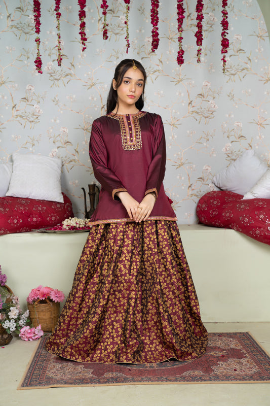 Shehnai - 2 piece - Embroidered Printed Party Wear