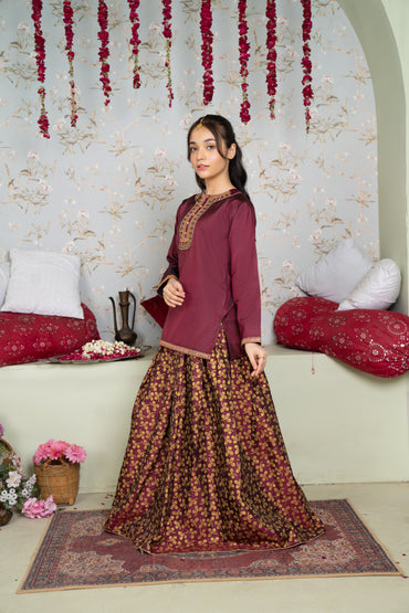 Shehnai - 2 piece - Embroidered Printed Party Wear