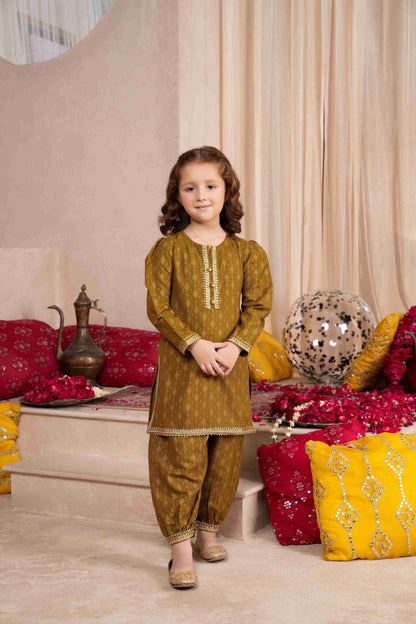 Mehndi - 2 piece - Printed Embroidered Suit