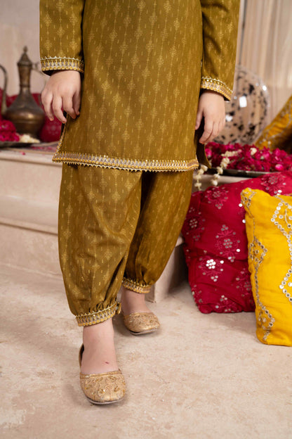 Mehndi - 2 piece - Printed Embroidered Suit