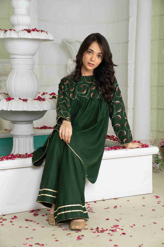 Nagina - 2 piece - Embroidered Suit