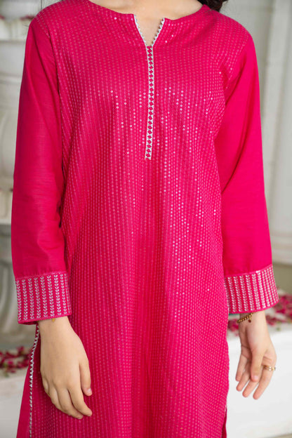 Pinki - 2 Piece - Embroidered Suit