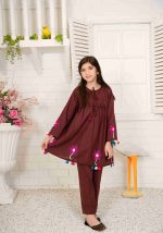 Imported-Mehroon-Fabric-CC06-1
